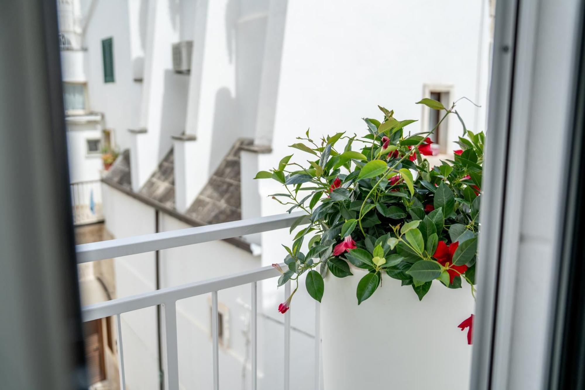 Innesto Rooms - Monopoli Exteriér fotografie