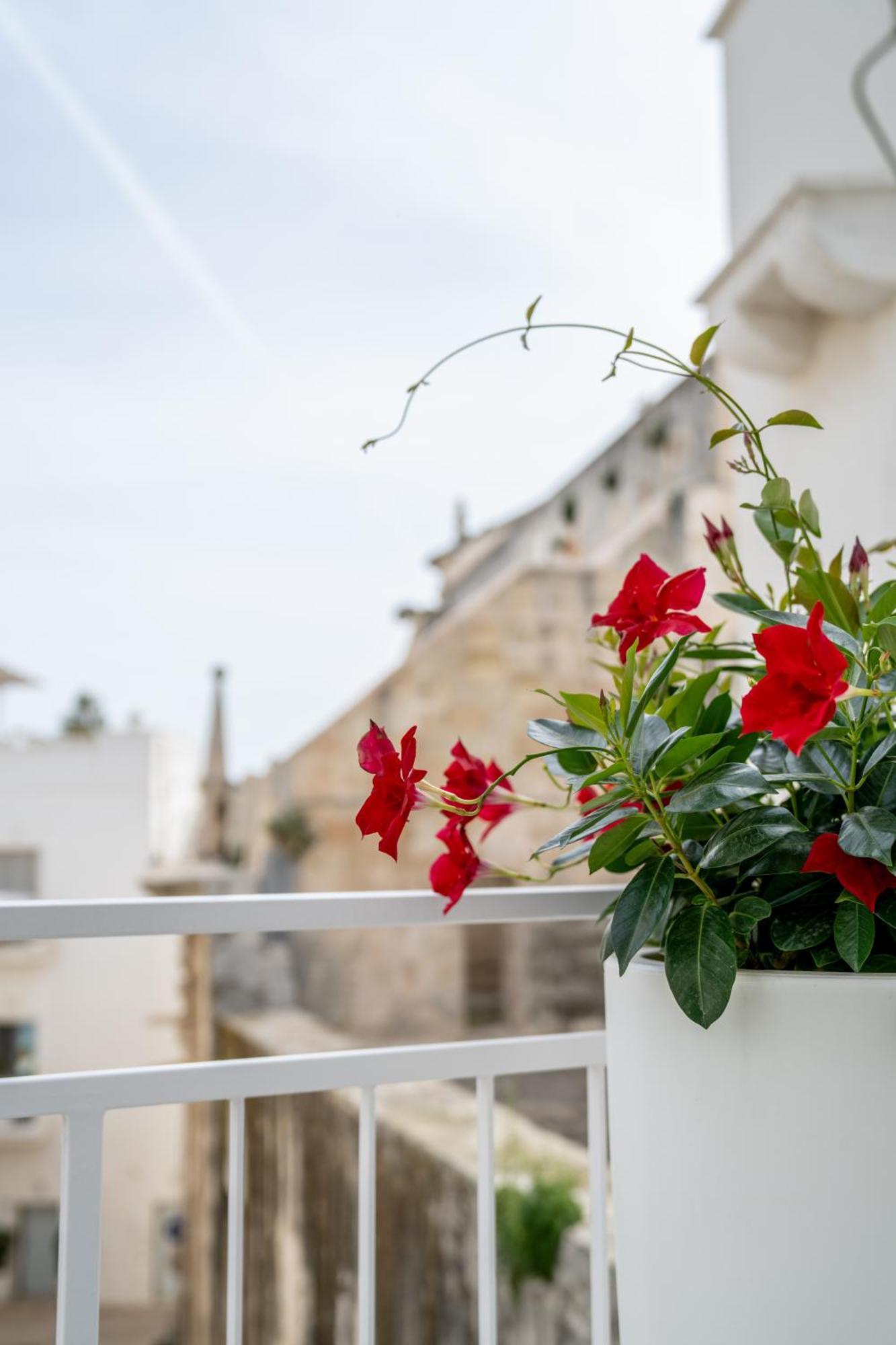 Innesto Rooms - Monopoli Exteriér fotografie